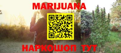 PSILOCYBIN Можга