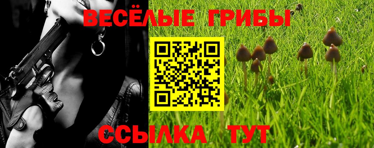 Назарово  Галлюциногенные грибы Cubensis  где купить наркоту  Вход с VPN 